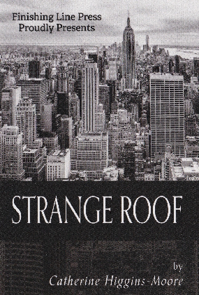 HG Wells Prize Shortlisted Author Catherine releases “Strange Roof”