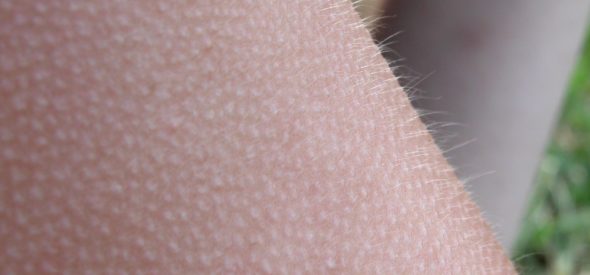 Writing with the Senses: Short Story Writing Workshop with Karen Ince