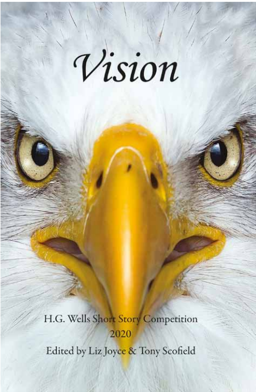 Vision - anthology poster