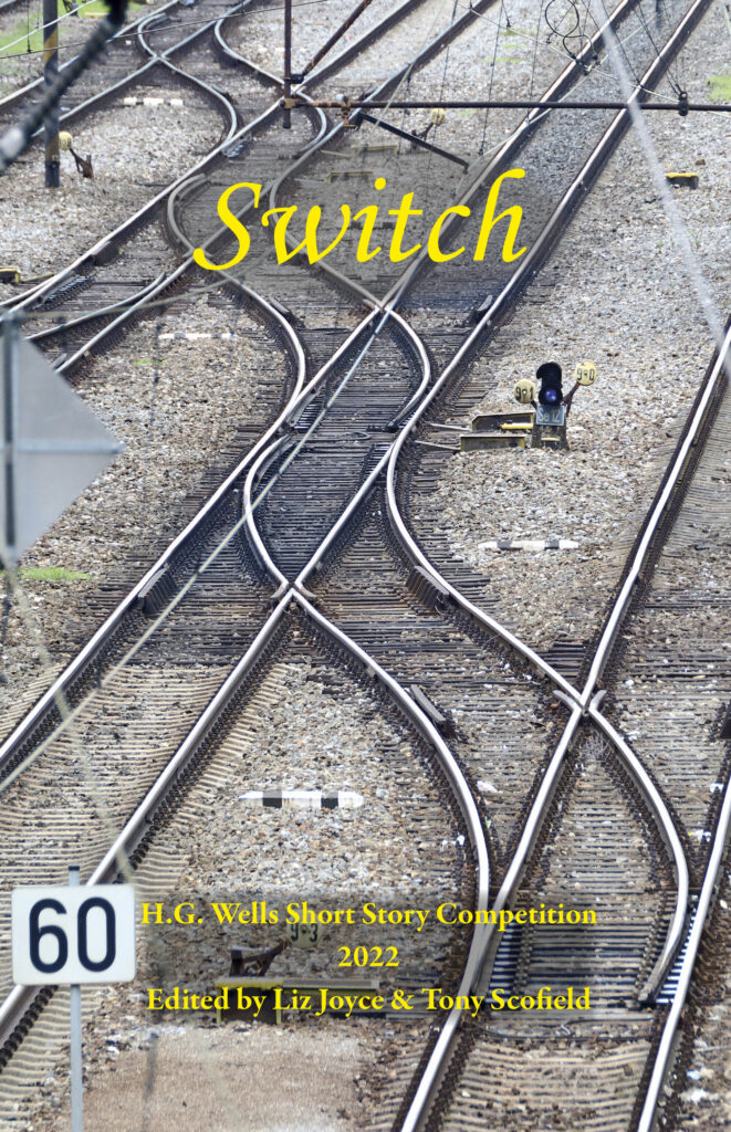 Switch cover